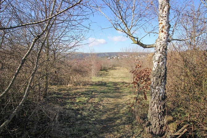 Pronájem pozemku ostatní pozemek 4956 m², 