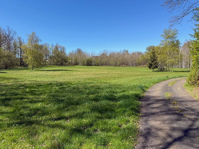 Prodej pozemku bydlení pozemek 8053 m², Nová Role,Karlovy Vary,Karlovarský kraj